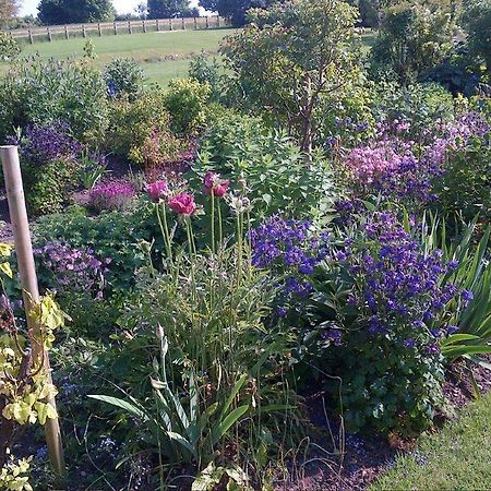 Coxley House Bed & Breakfast Wells Bagian luar foto