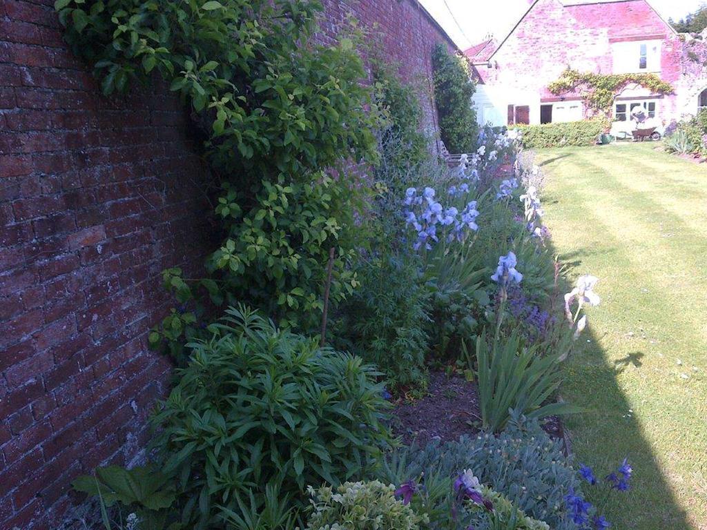 Coxley House Bed & Breakfast Wells Bagian luar foto