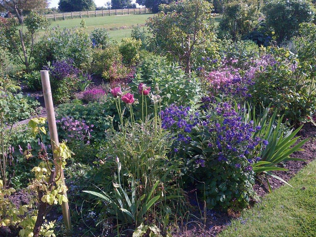 Coxley House Bed & Breakfast Wells Bagian luar foto
